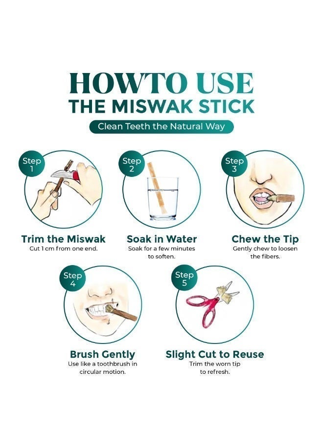 Sanowak Miswak Stick / 100% Natural Siwak Sticks – 5 Organic Wooden Toothbrushes with Plastic Holder | Teeth Whitening & Oral Care | 100% Chewable & Antibacterial | Eco-Friendly & Vacuum Sealed | Meswak | Sewak - Image 5